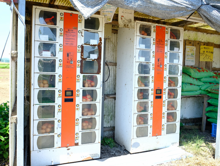 「宮崎・都城 美味しい卵を食べます!河中農園と都城シティホテル・おいし家」_a0000029_16464557.jpg