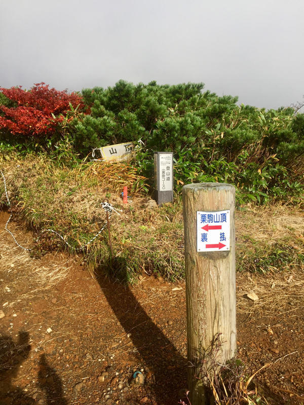 c0225536_03323960.jpg