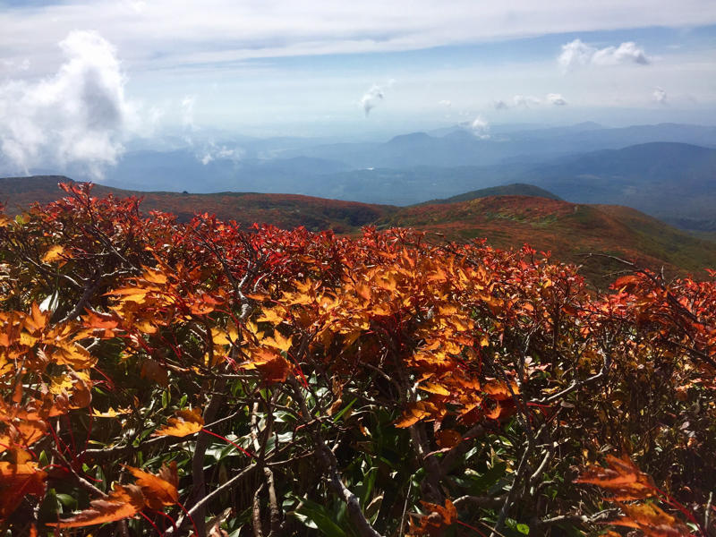 c0225536_03365151.jpg