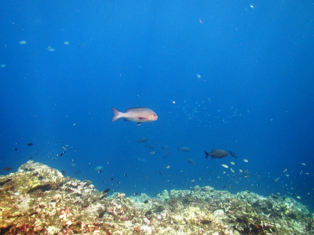 a0189838_07222874.jpg