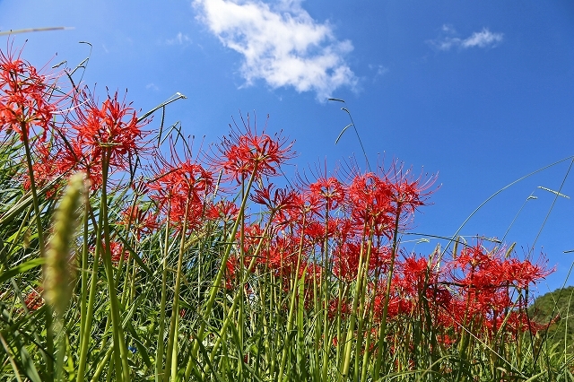 a0242438_21465910.jpg