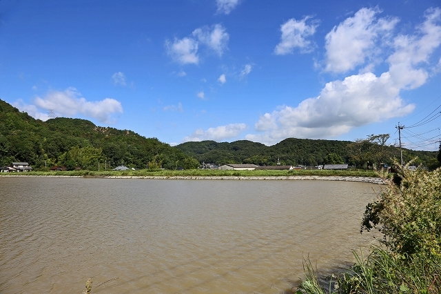 a0242438_21504822.jpg