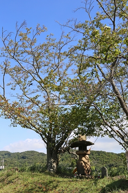 a0242438_21504974.jpg