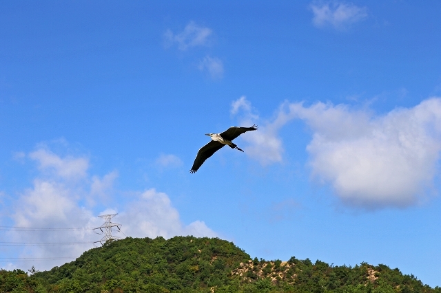 a0242438_21505060.jpg