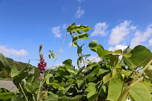 a0242438_21505145.jpg