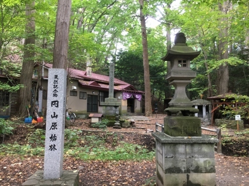 札幌円山、リハビリ登山_e0326953_21584025.jpg