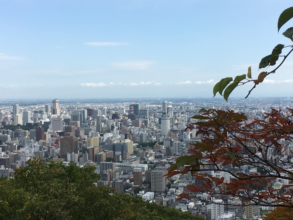札幌円山、リハビリ登山_e0326953_22130181.jpg