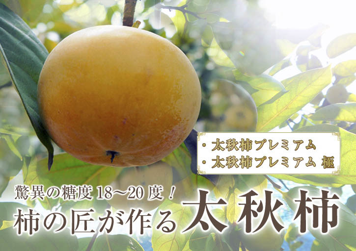 太秋柿プレミアム！平成29年度は10月10日(火)より発送開始！本日より先行予約受付スタートしました！_a0254656_18595394.jpg