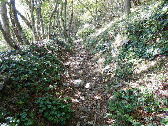 d0231858_08485.jpg