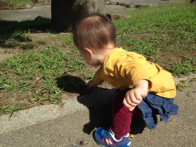 a0295764_00334052.jpeg
