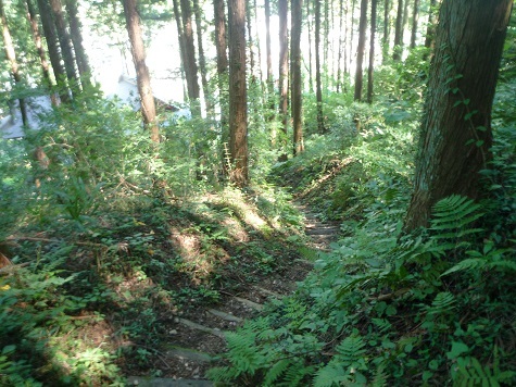 c0273271_14493186.jpg