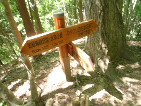c0273271_14512871.jpg