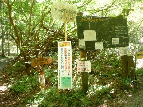 c0273271_15310869.jpg