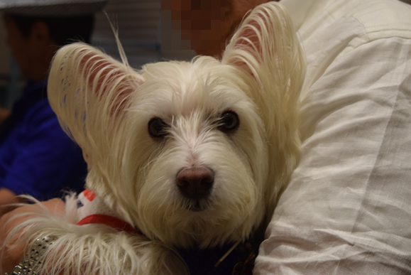 b0242873_10012497.png