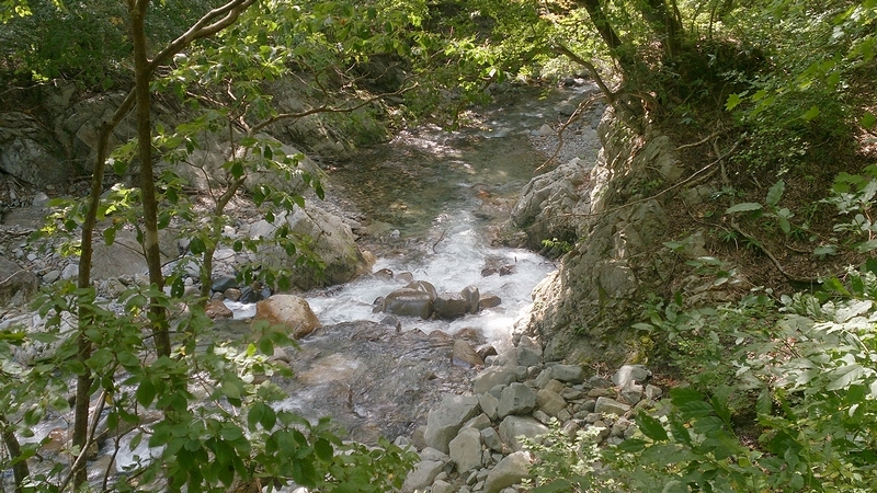 d0132880_21595621.jpg