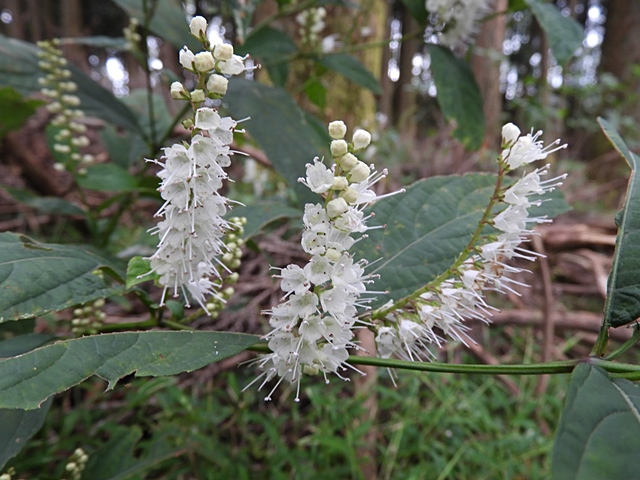 f0357487_20263087.jpg