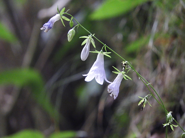 f0357487_21495160.jpg