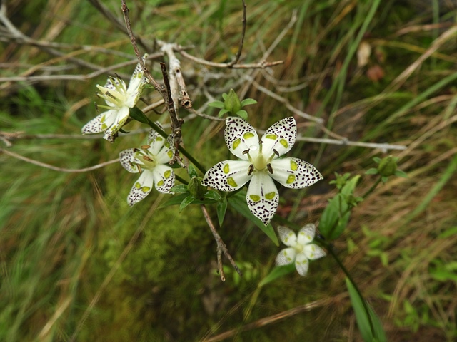 f0357487_2261440.jpg