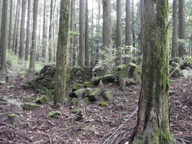f0357487_2310527.jpg