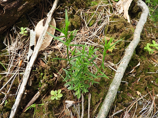 f0357487_2328630.jpg