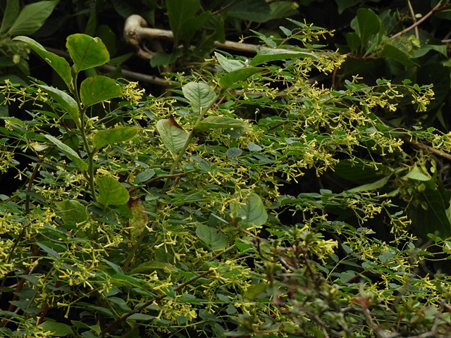 f0357487_23301643.jpg