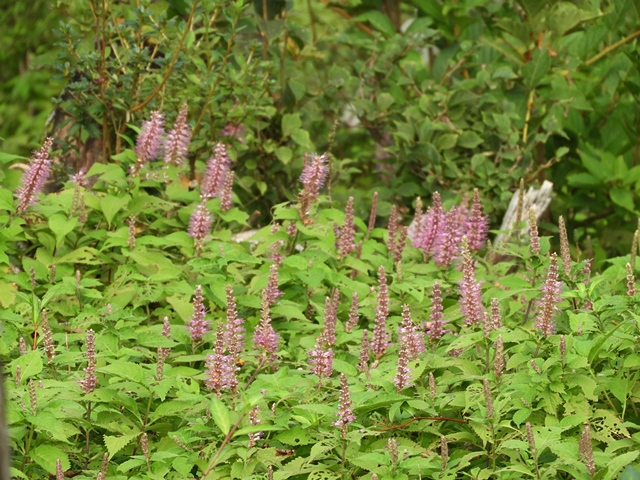 f0357487_23515729.jpg