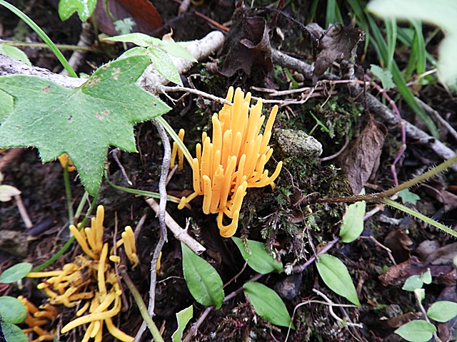 f0357487_23532227.jpg