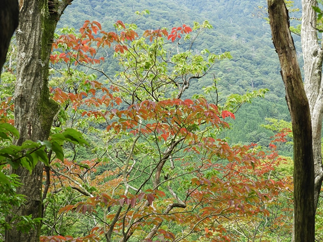 f0357487_235478.jpg