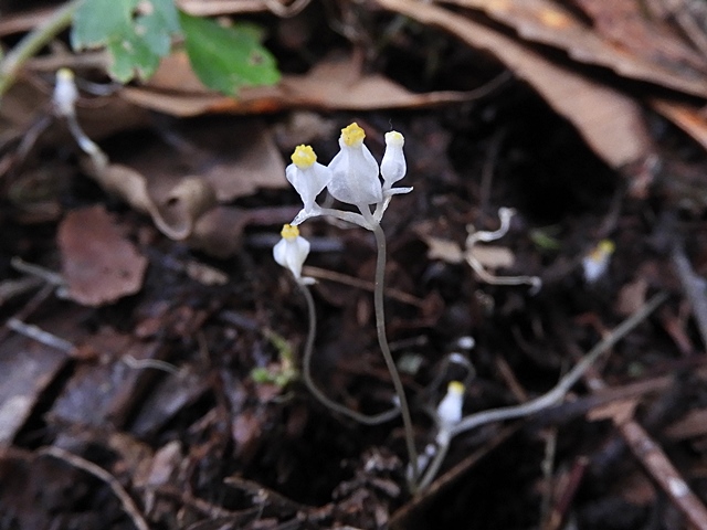f0357487_23564575.jpg