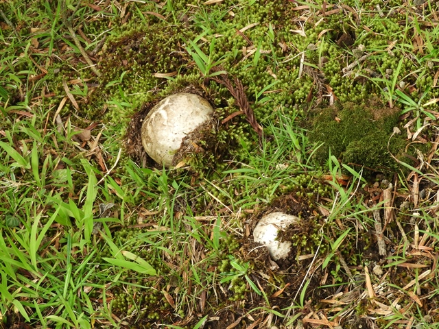 f0357487_2359412.jpg