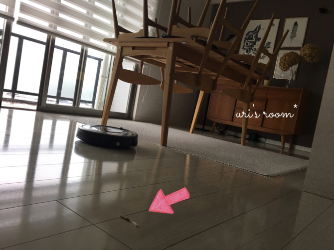 せつないルンバの落し物。それから…娘が描いた私の似顔絵が忠実すぎる件_a0341288_21512835.jpg