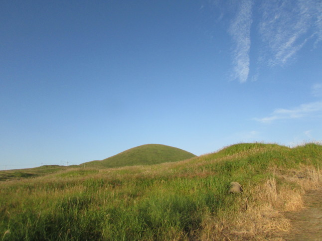 c0335990_06584640.jpg