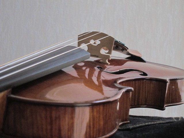 ヴァイオリンの駒の高さ、特に新作は、変化が大きい : Cremona Kuga 