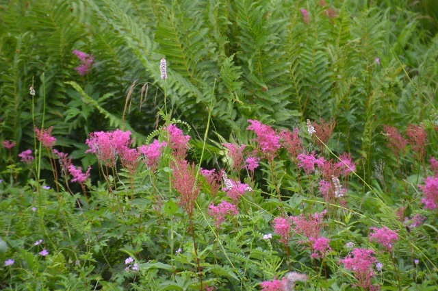 c0124100_17163479.jpg