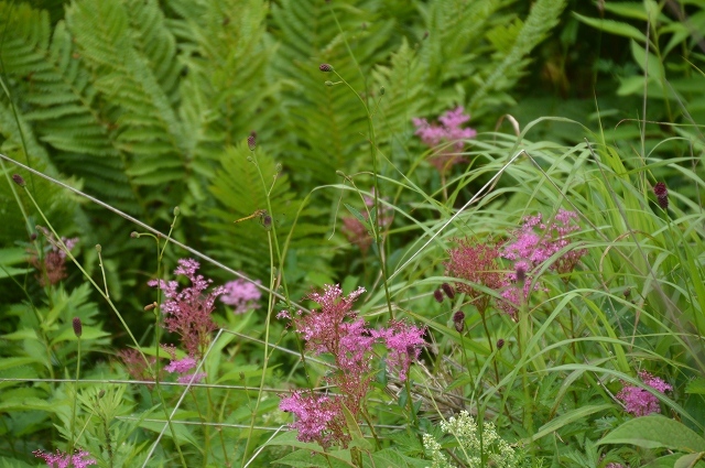 c0124100_17164575.jpg