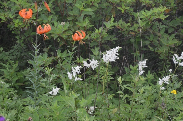 c0124100_17170164.jpg
