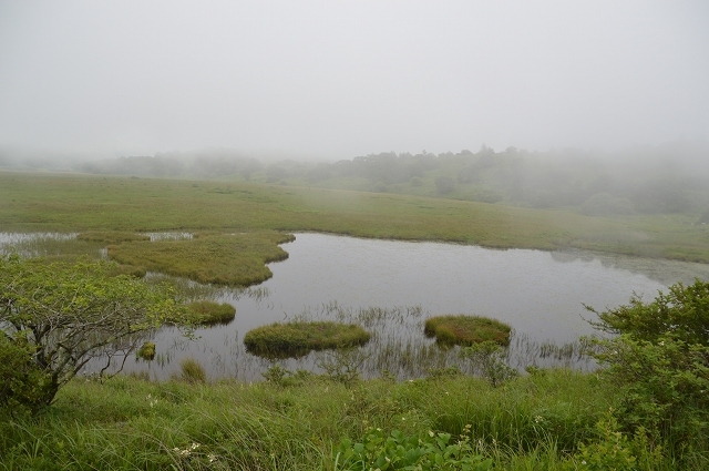 c0124100_17170857.jpg