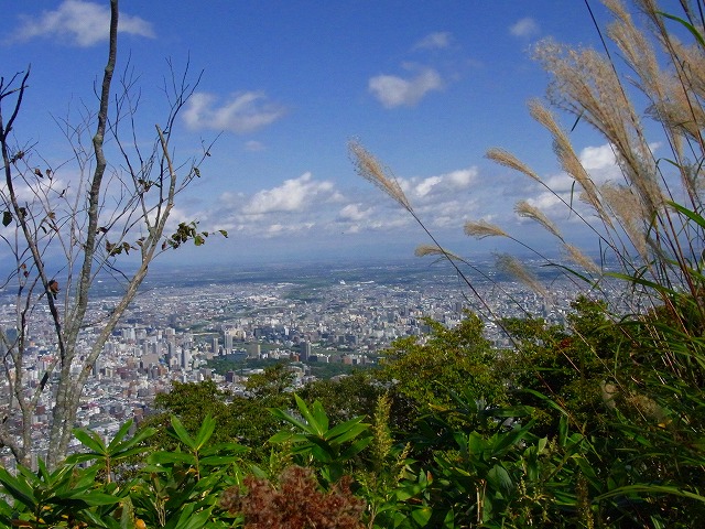 藻岩山　　②_f0157901_16592819.jpg