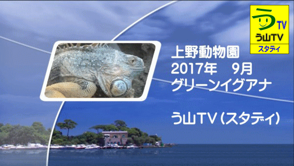 a0043204_1203185.gif