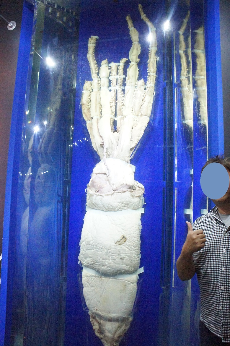 深海17 展へ オートクチュールの旅日記 深海17 展へ オートクチュールの旅日記
