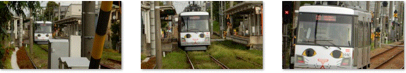 f0231709_09593362.gif