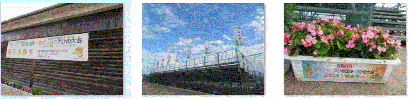 f0231709_14165307.gif
