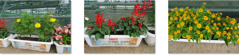 f0231709_14174399.gif