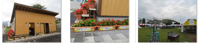 f0231709_14344307.gif