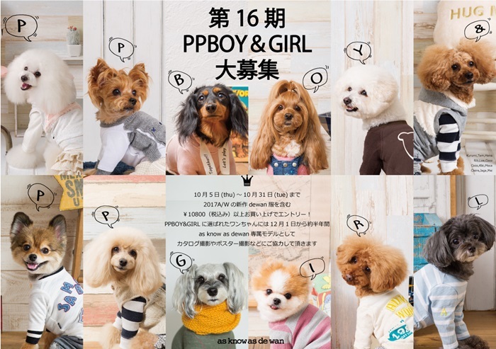 第16期 PPBOY&GIRL大募集_f0170910_18143323.jpg