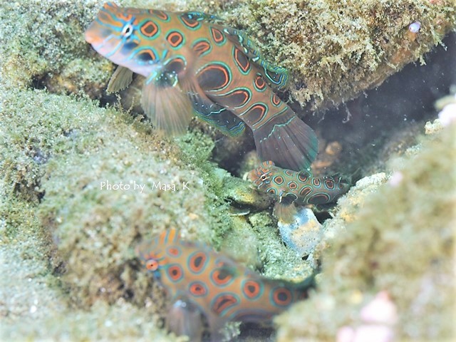 c0211615_08250802.jpg