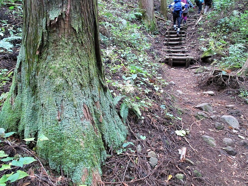 群馬の駅からハイク vol.4 : 東吾妻町　不動の滝から岩塔の岩櫃山　　　　　Mount Iwabitsu in Higashiagatsuma_f0308721_23122775.jpg