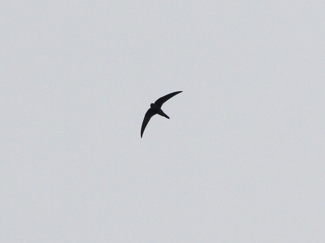 f0118332_22110297.jpg