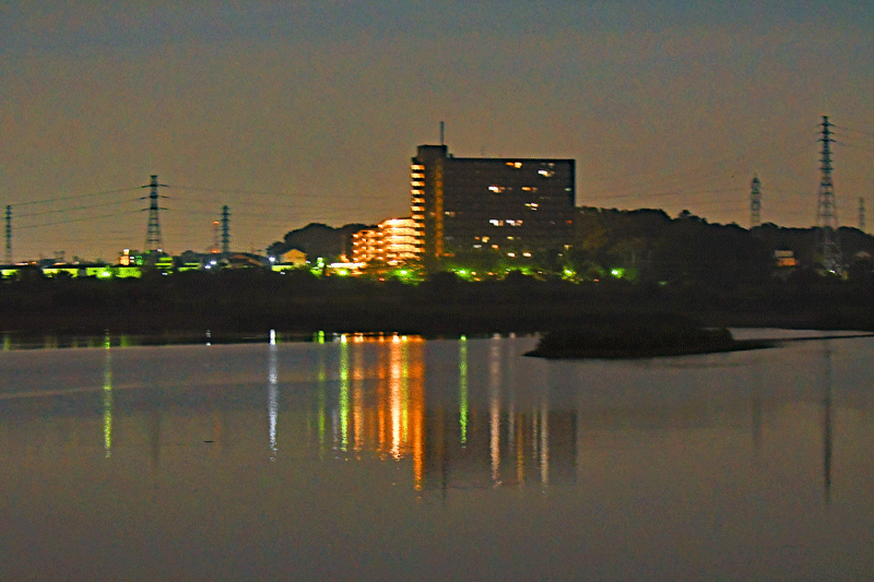 d0290240_11420706.gif
