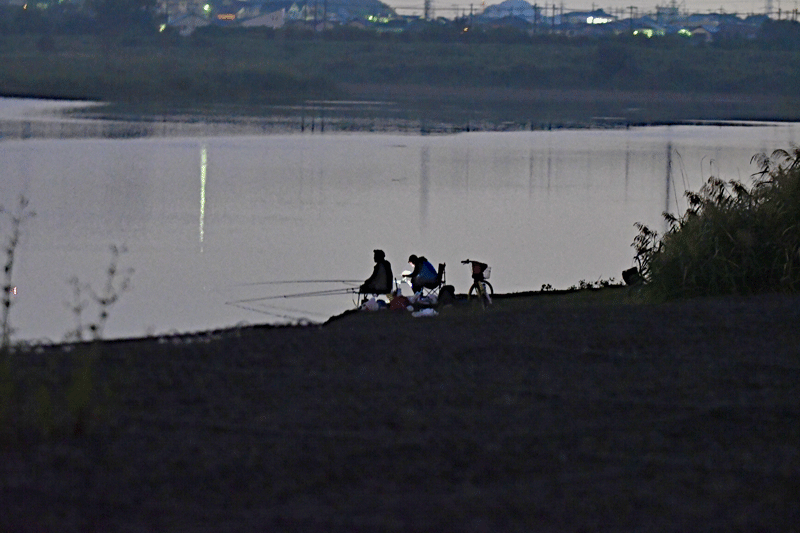 d0290240_11431910.gif